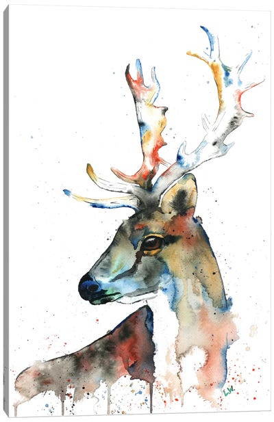 Fallow Deer Canvas Art Print - Lisa Whitehouse
