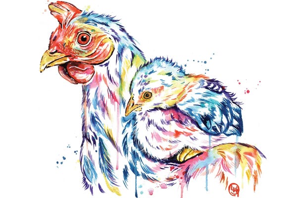 Chickens & Roosters: Chickens - Safe At Home by Lisa Whitehouse