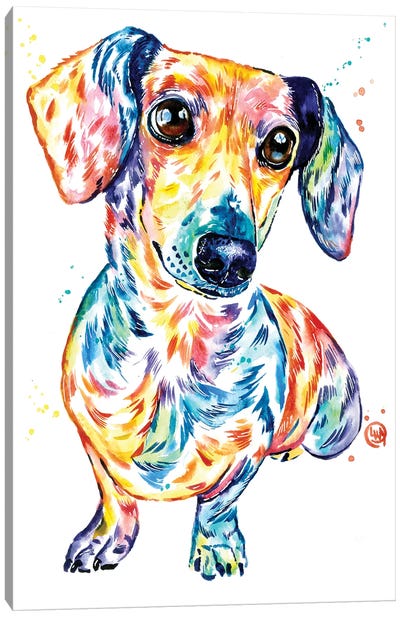 Dachshund Canvas Art Print - Best Selling Dog Art