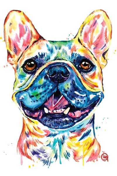 Fawn French Bulldog - Frenchie by Lisa Whitehouse acrylic art print