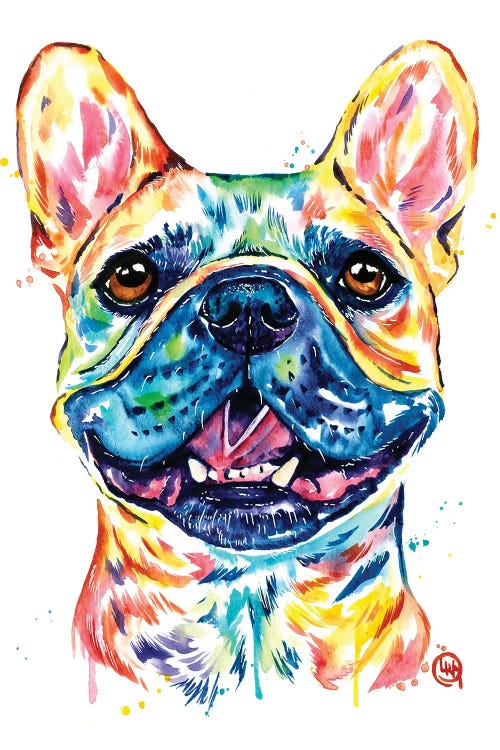 Fawn French Bulldog - Frenchie