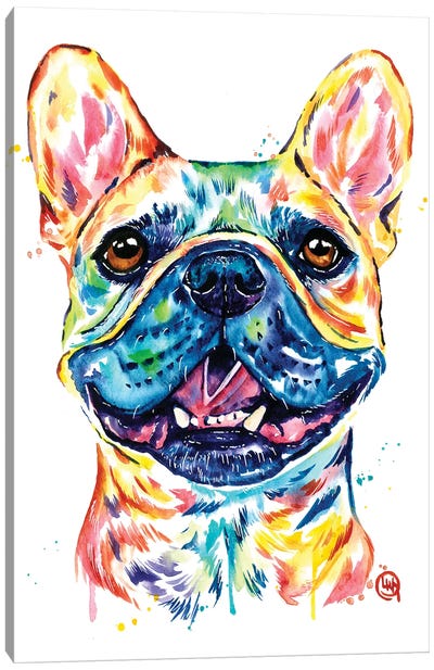 Fawn French Bulldog - Frenchie Canvas Art Print - French Bulldog Art