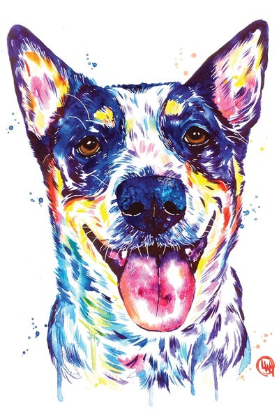 Other Breeds: Blue Heeler by Lisa Whitehouse