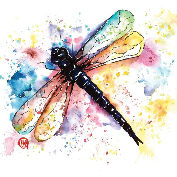 Dragonflies: Time To Take Off by Lisa Whitehouse