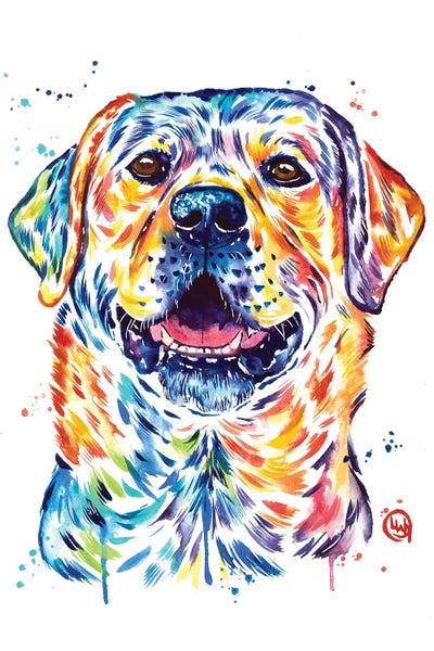 Labrador Retrievers: Happy Lab by Lisa Whitehouse