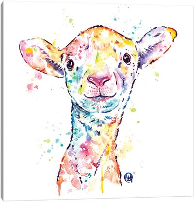 Little Lamb Canvas Art Print - Baby Animal Art
