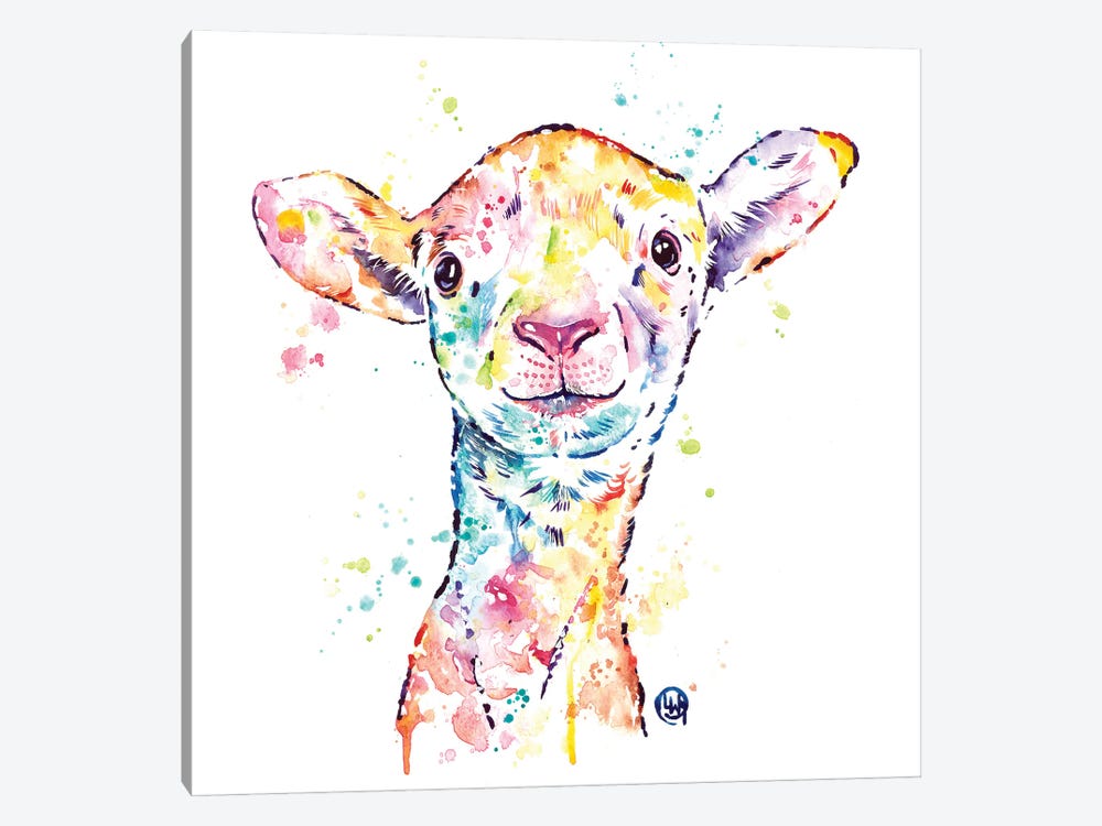 Little Lamb by Lisa Whitehouse 1-piece Canvas Art Print
