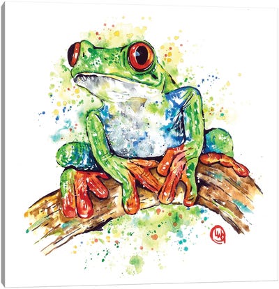 Life In Color Canvas Art Print - Frog Art