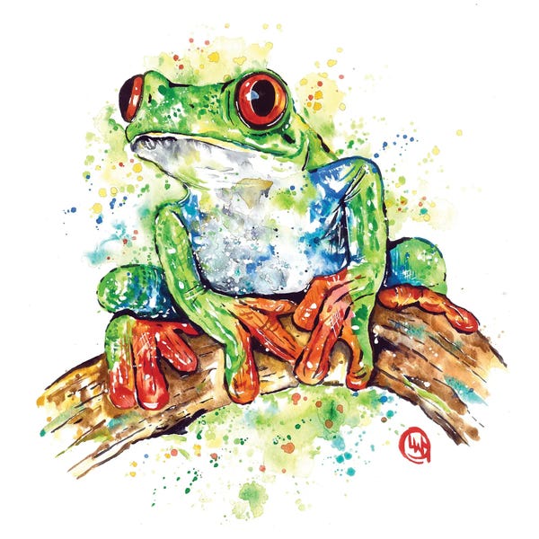 Frogs: Life In Color by Lisa Whitehouse