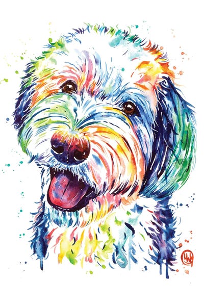 Sheepadoodle by Lisa Whitehouse canvas print