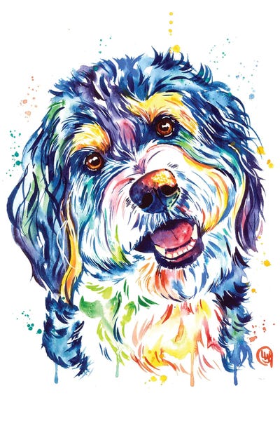 Dogs: Bernedoodle by Lisa Whitehouse