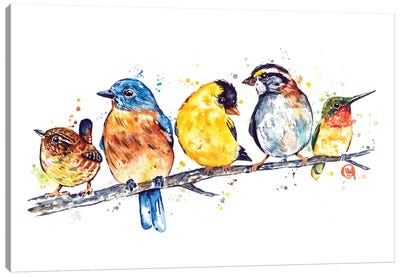 Backyard Birds Canvas Art Print - Lisa Whitehouse