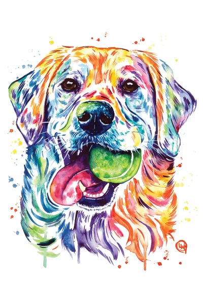 Labrador Retrievers: Throw The Ball, Dont Take The Ball by Lisa Whitehouse