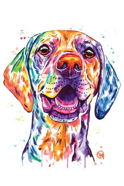 Vizslas: Ready For Adventure by Lisa Whitehouse