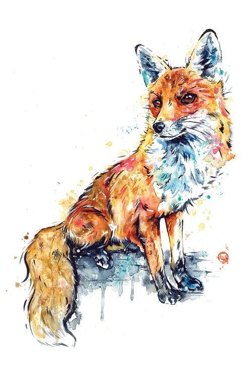 Fox - Sitting Pretty