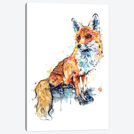Fox - Sitting Pretty Canvas Print #LWH174} by Lisa Whitehouse Canvas Artwork