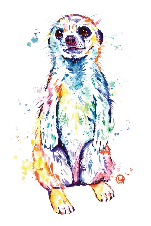 Meerkat by Lisa Whitehouse wall art