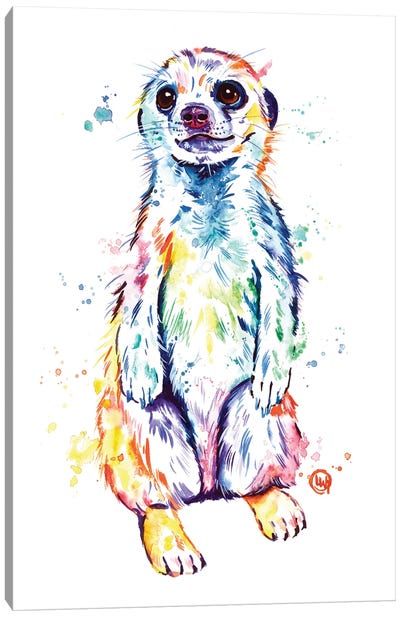 Meerkat Canvas Art Print - Lisa Whitehouse