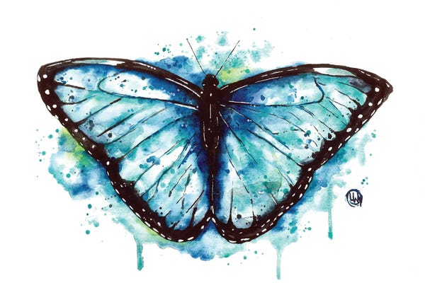 Lisa Whitehouse: Blue Morpho by Lisa Whitehouse