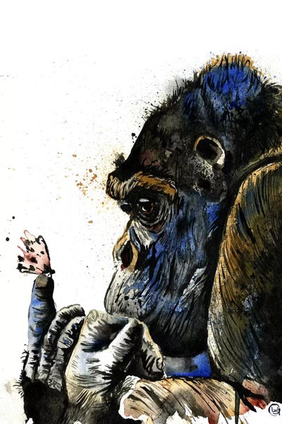 Primates: Gentle Giant by Lisa Whitehouse