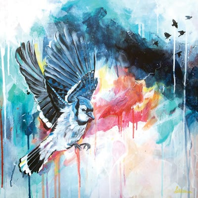 New Heights by Lisa Whitehouse framed wall art