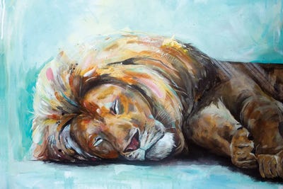 Rest Weary One by Lisa Whitehouse canvas print