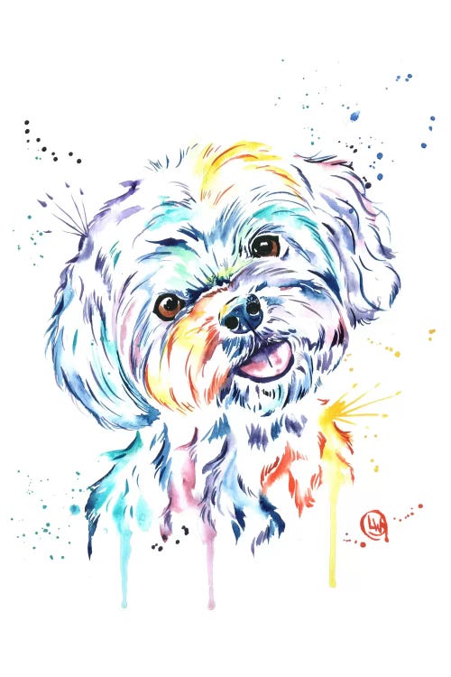 Havanese by Lisa Whitehouse wall art