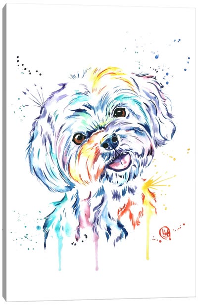 Havanese Canvas Art Print - Best Selling Dog Art
