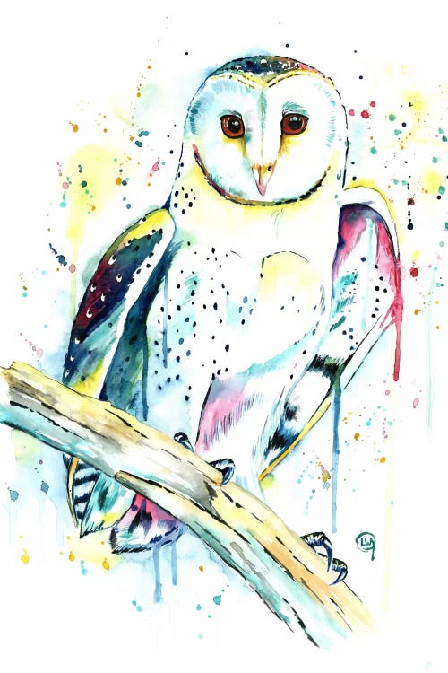 Hooot by Lisa Whitehouse wall art