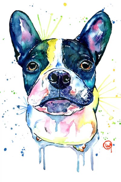 Juno The Frenchton by Lisa Whitehouse metal wall art