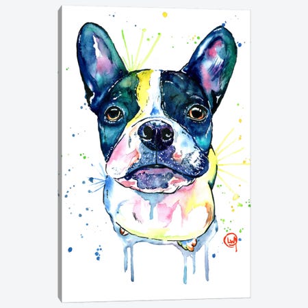 Juno The Frenchton Canvas Print #LWH28} by Lisa Whitehouse Canvas Wall Art