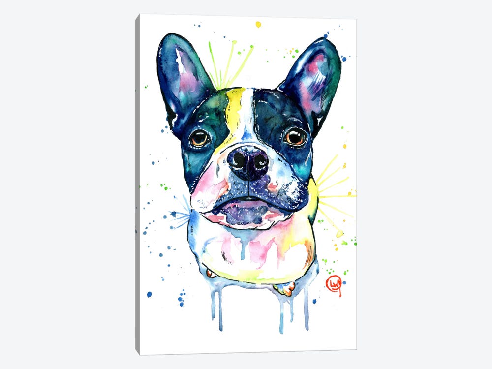 Juno The Frenchton by Lisa Whitehouse 1-piece Canvas Art Print