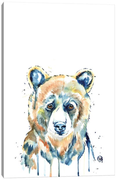 Peekaboo Bear Canvas Art Print - Lisa Whitehouse