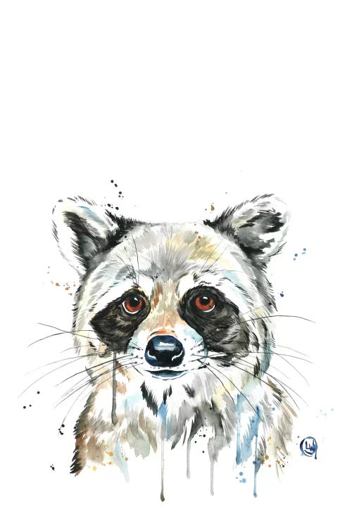 Peekaboo Raccoon by Lisa Whitehouse wall art