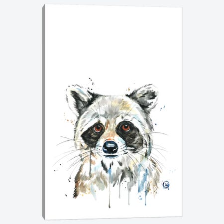 Peekaboo Raccoon Canvas Print #LWH33} by Lisa Whitehouse Canvas Art Print