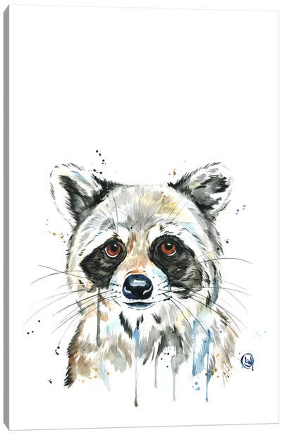 Peekaboo Raccoon Canvas Art Print - Raccoon Art
