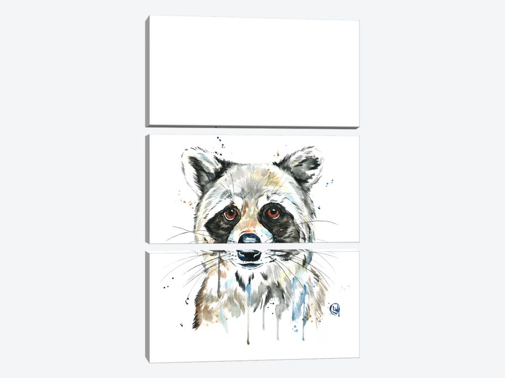 Peekaboo Raccoon by Lisa Whitehouse 3-piece Canvas Art Print