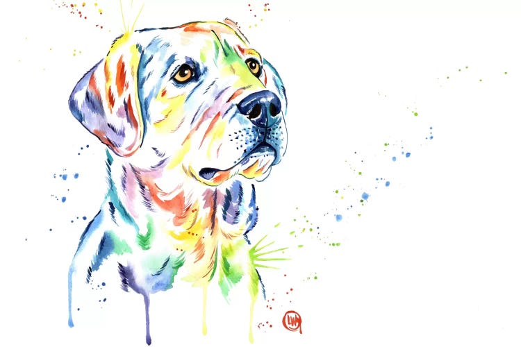Puppy Star by Lisa Whitehouse wall art