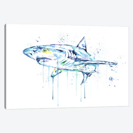 Shark Canvas Print #LWH40} by Lisa Whitehouse Canvas Wall Art