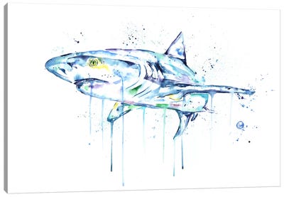Shark Canvas Art Print - Lisa Whitehouse