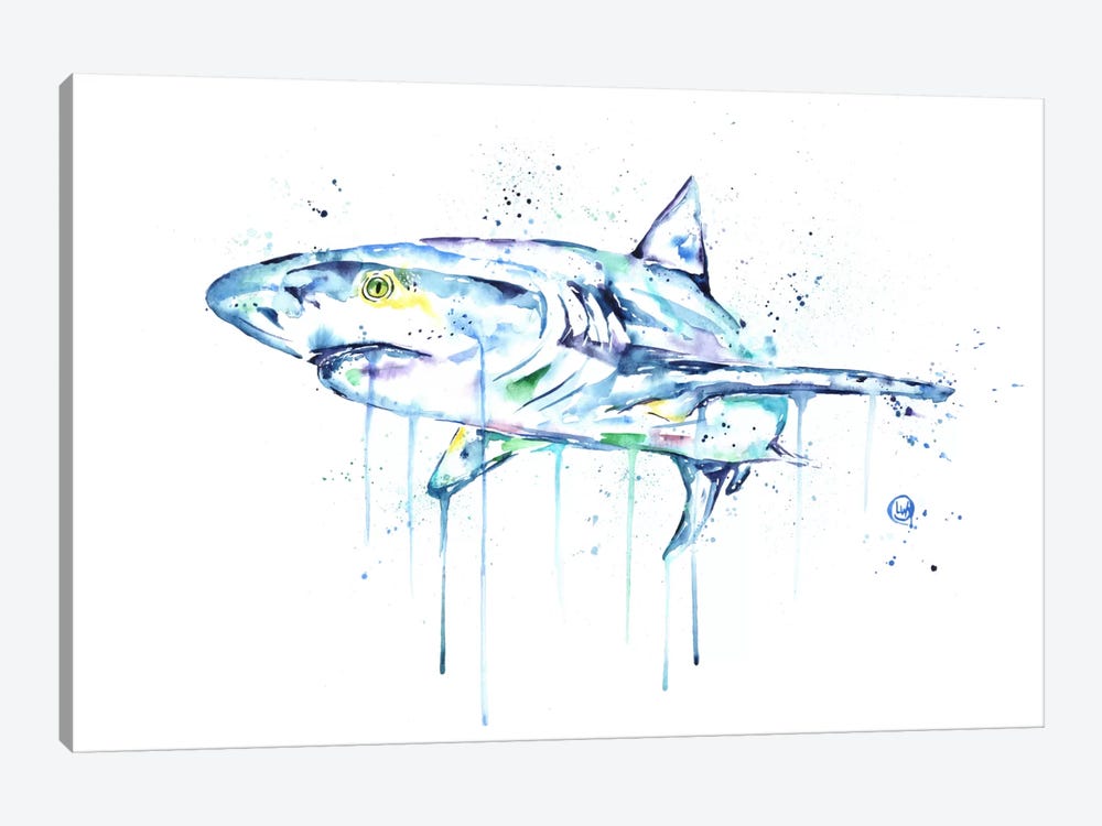 Shark by Lisa Whitehouse 1-piece Canvas Print