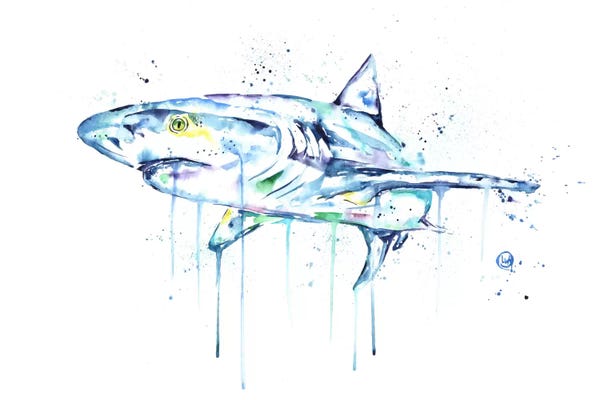 Kids Ocean Life Art: Shark by Lisa Whitehouse