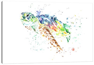 Snap Canvas Art Print - Kids Ocean Life Art