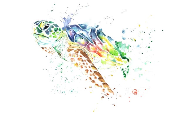 Reptiles & Amphibians: Snap by Lisa Whitehouse