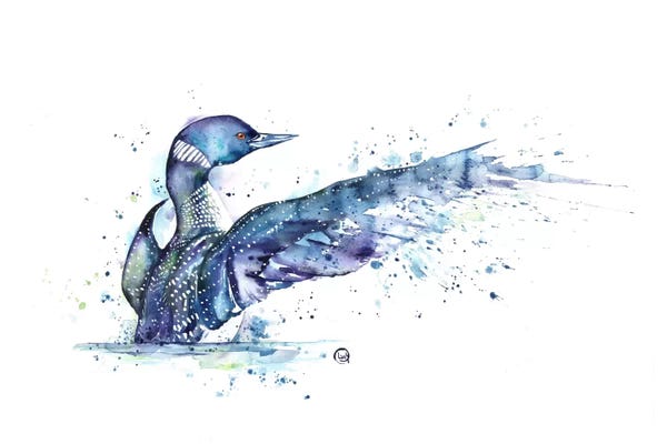 Splash