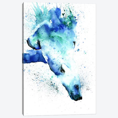 The Plunge Canvas Print #LWH44} by Lisa Whitehouse Canvas Print