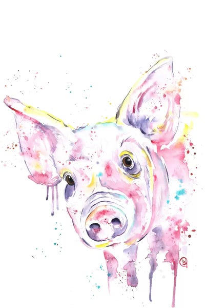 Pigs: This Little Piggy by Lisa Whitehouse