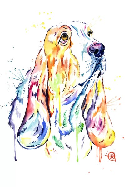 Basset Hounds: Basset Hound by Lisa Whitehouse