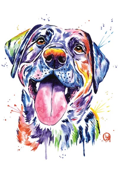 Black Lab by Lisa Whitehouse framed wall art