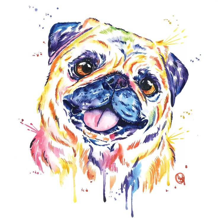 Fawn Pug